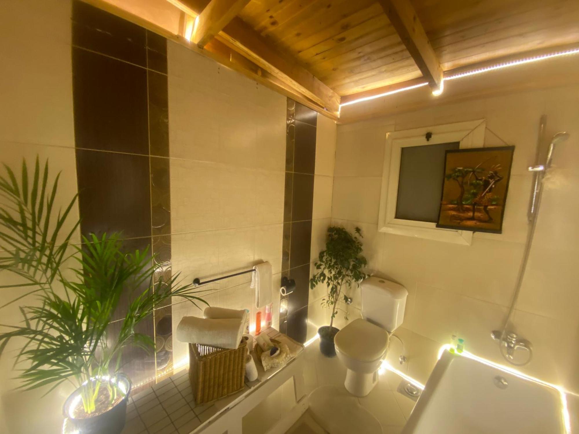 Airport Rooftop Club Luxurious Rooms And Studios 开罗 外观 照片