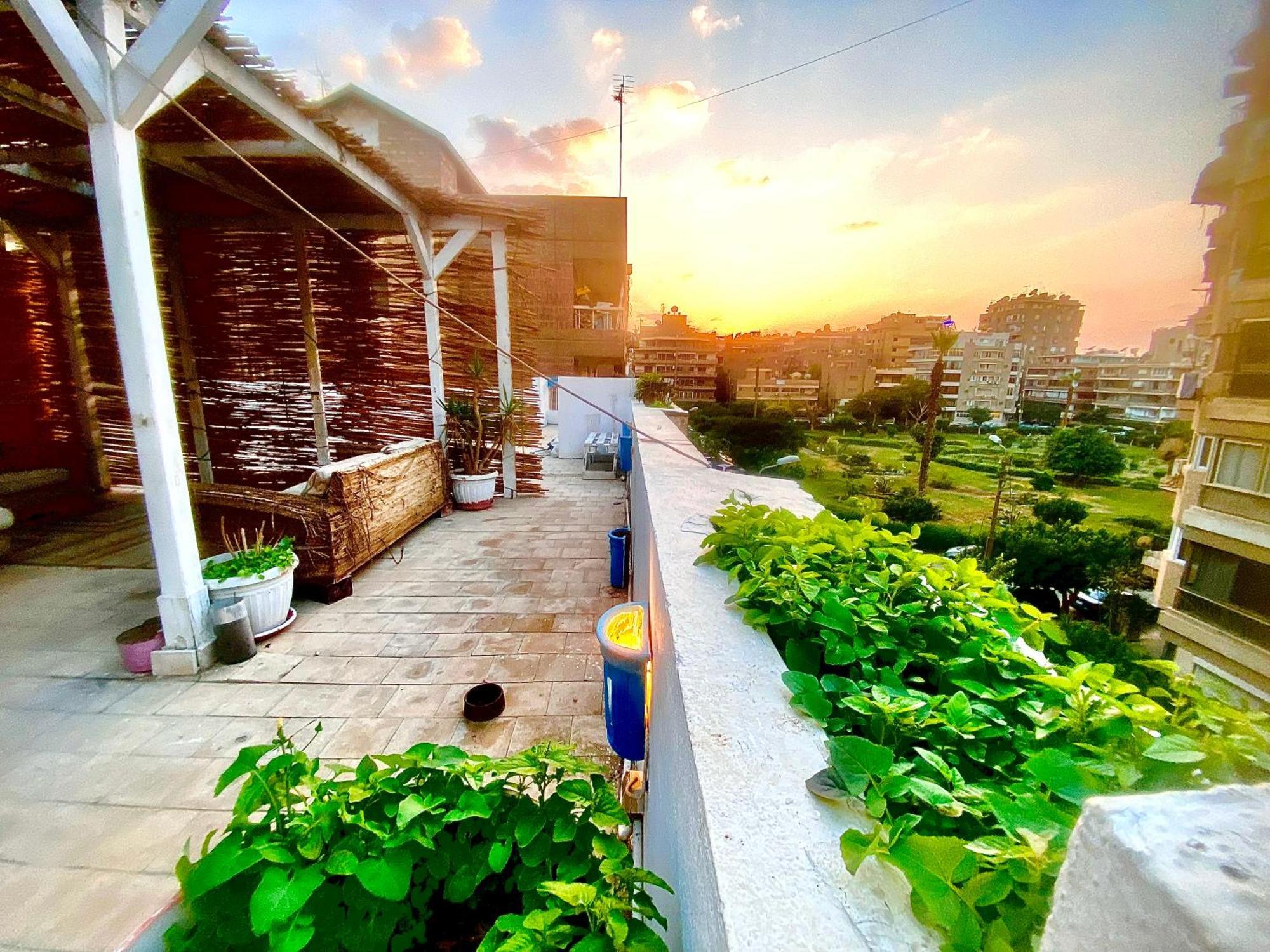 Airport Rooftop Club Luxurious Rooms And Studios 开罗 外观 照片
