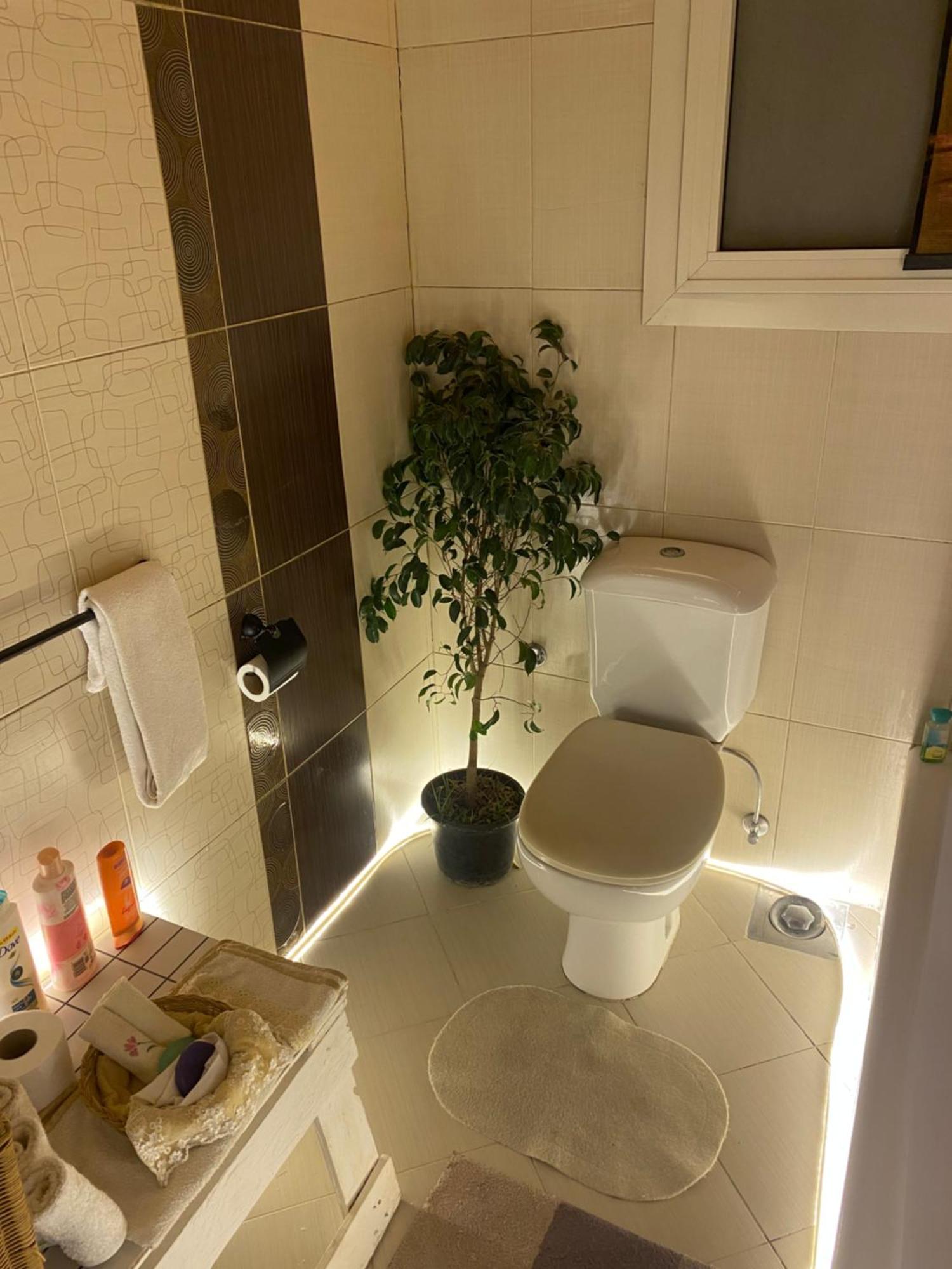 Airport Rooftop Club Luxurious Rooms And Studios 开罗 外观 照片