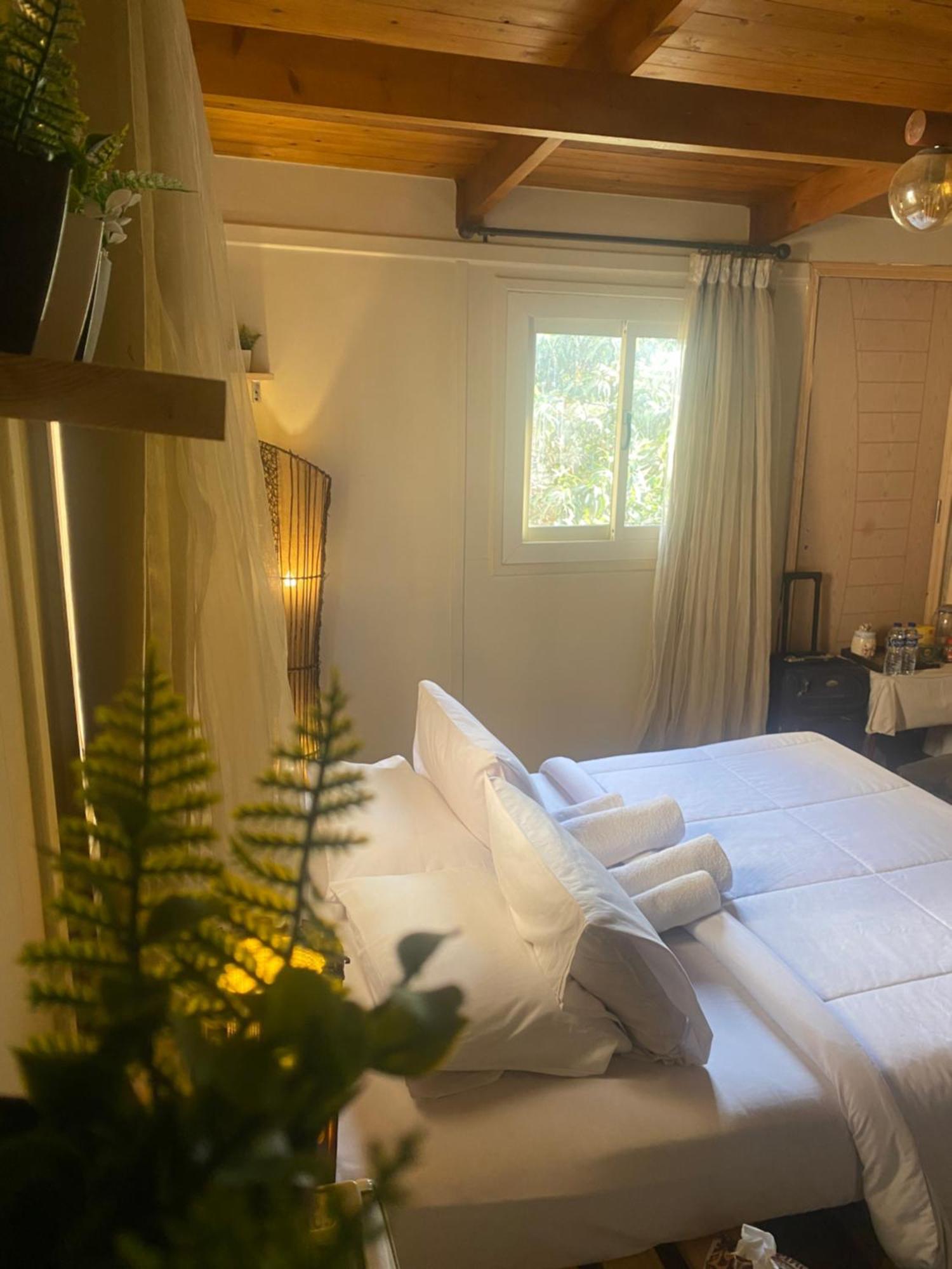 Airport Rooftop Club Luxurious Rooms And Studios 开罗 外观 照片